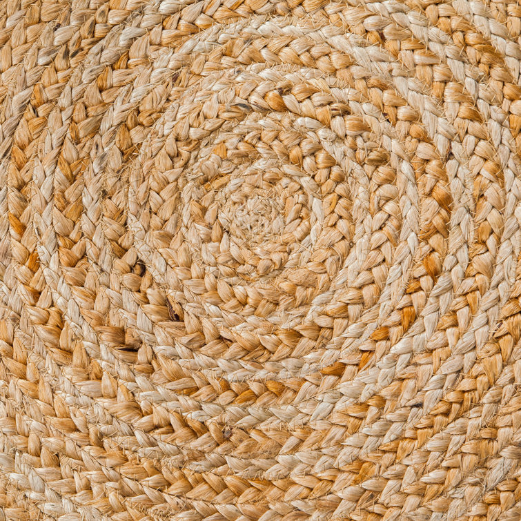 Gage Hand Braided Indoor Rug