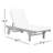 Jivera 78.70" Long Reclining Eucalyptus Single Chaise with Cushions-2095957461-2103707557