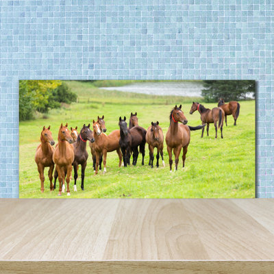 Ligonier 50 cm. W x 100 cm. L Peel and Stick