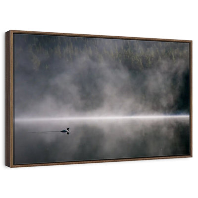 Duck In Foggy Lake