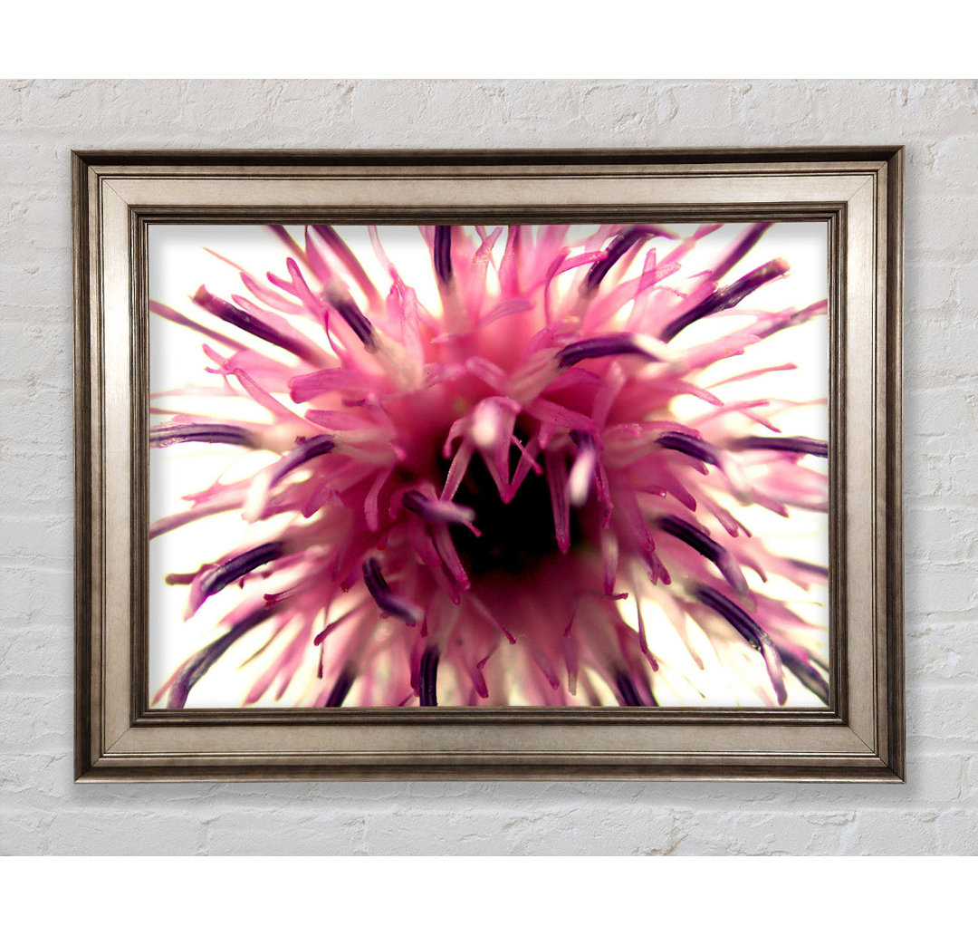 Pink Flower Head Explosion - Bilderrahmen Kunstdrucke