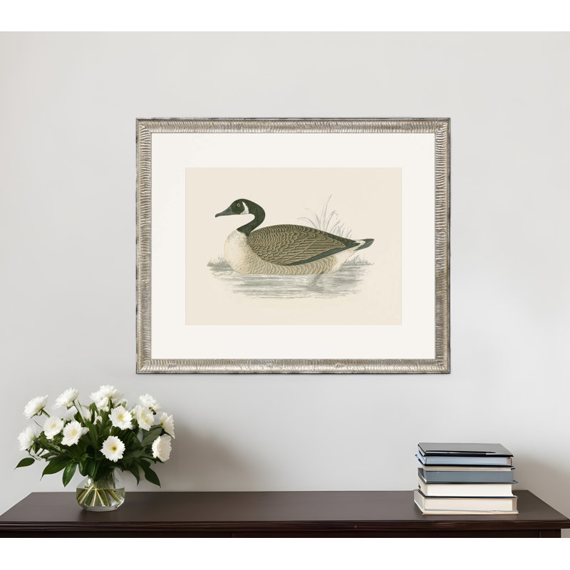 Canada Goose Silver Framed Print Wall Art