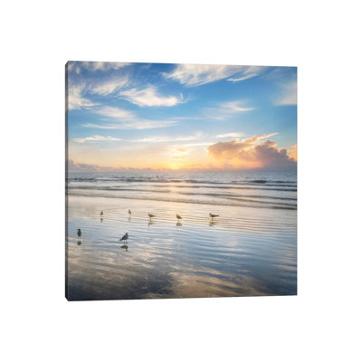 Morning Beauty by Andy Amos - Print on Canvas