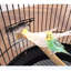 28,34 cage à oiseaux