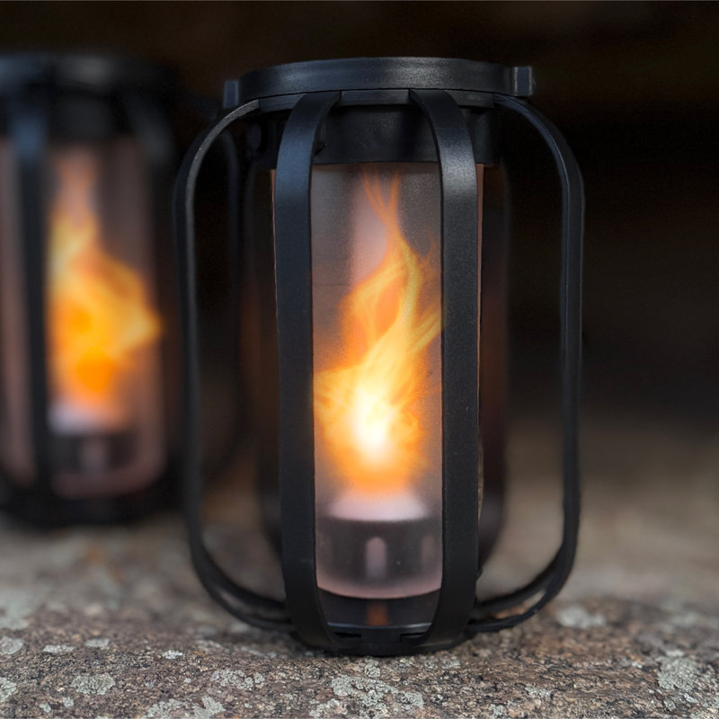 Renard flamme