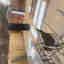 Photos des clients 1 de 1