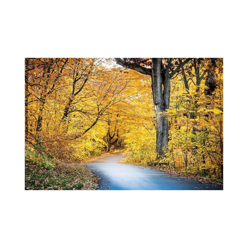 «Autumn's Embrace On 3 Mile Drive», reproduction d'art mural - toile tendue, H 18 po x l 26 po, Toile tendue