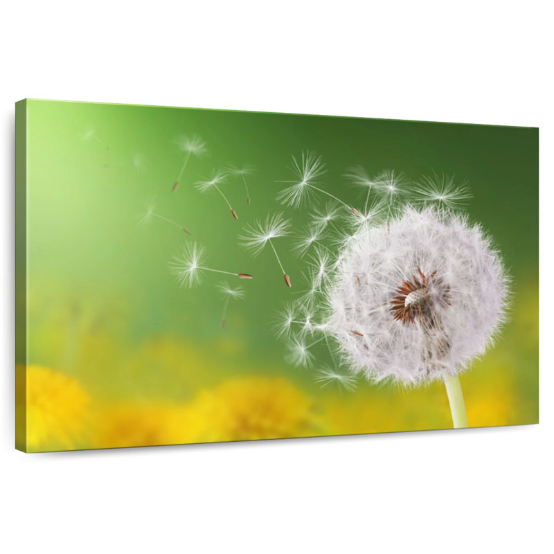 Harnek Dandelion Seeds In The Wind, 30" H x 45" W