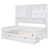 Blanc est en rupture de stock