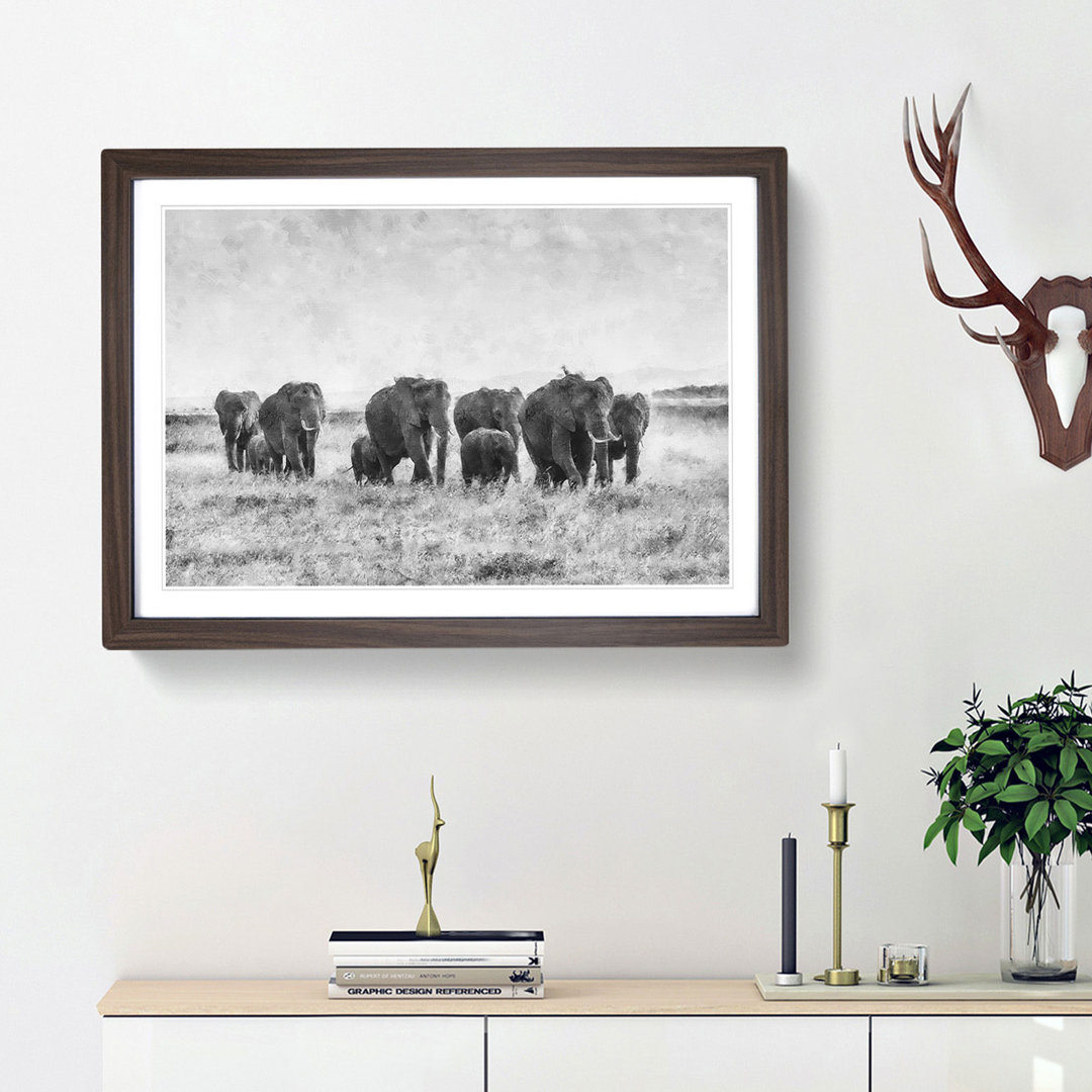 Herd of Elephants Roaming - Framed Print