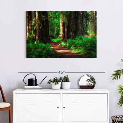 Alvord Path Through Forest