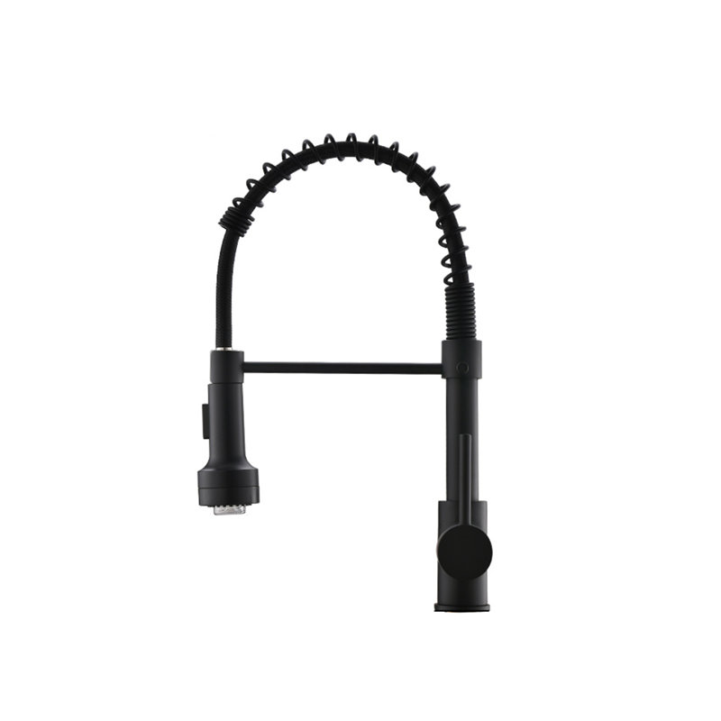 Topcraft Single-Handle Single-Hole Kitchen Faucet