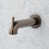 Oil Rubbed Bronze sélectionné