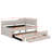 Upholstered Daybed Complete With Trundle And Three Spacious Drawers-1987501758-1987501728
