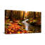 Landscape & Nature Autumn Forest Stream Leaves Trees Sunlight Colours Nature-721030530