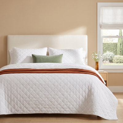 Bostwick Cotton Gauze Shams