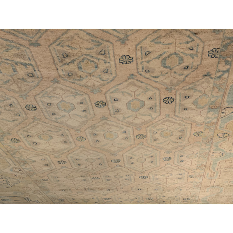 Wool Oriental Area Rug in Tan/Ivory