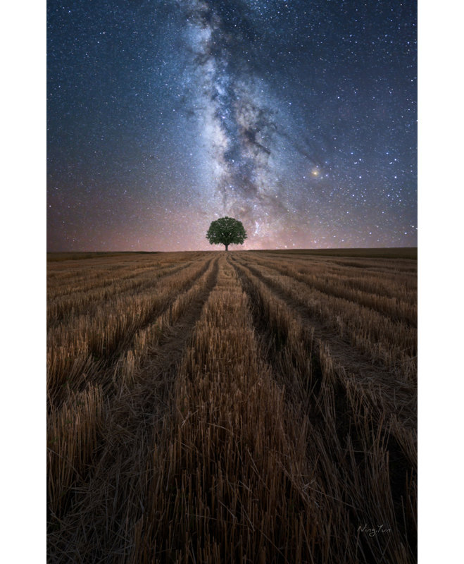 1 Piece Wrapped Canvas Wall Art