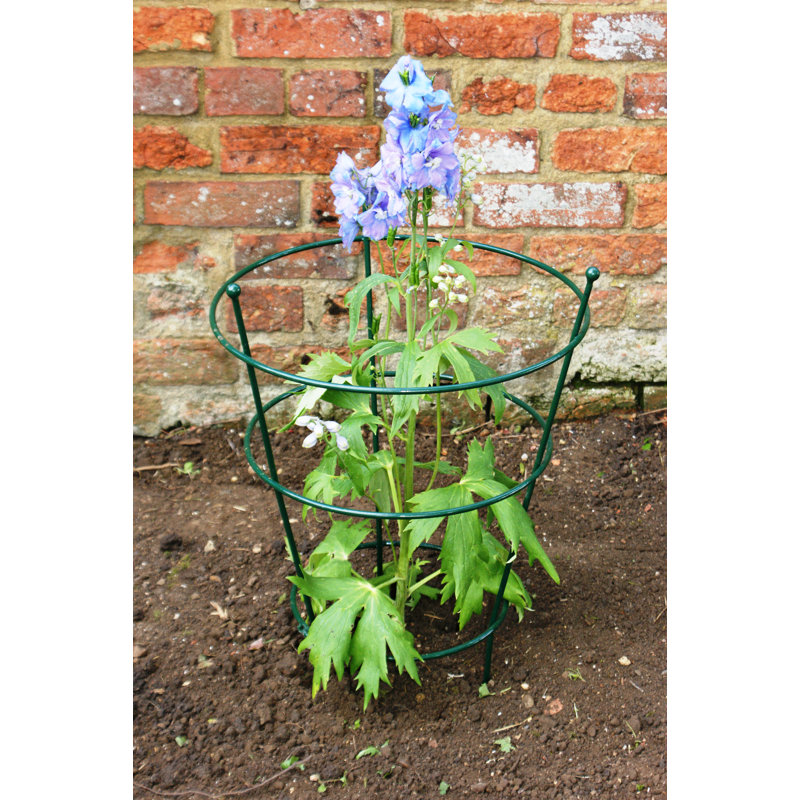 Aureon Metal Plant Support, Green, 63.5cm H x 40.6cm W x 40.6cm D