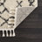 Adeen Shaggy Performance Tasseled Beige/Black Area Rug-2109419688