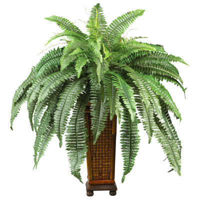 Boston Fern with Decorative Wood Vase
