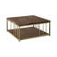 Aaqib Coffee Table