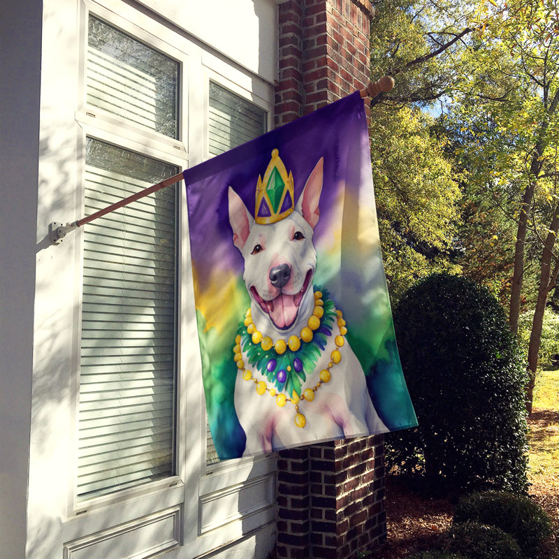 Double Sided 40'' H x 28'' W Polyester Mardi Gras House Flag