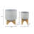 Baltz Ceramic Planter on Wooden Stand | Modern Stoneware Plant Pot with Decorative Base-1648373480-1698662692-1698662899