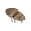 Novalee Nesting Tables