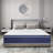 Bassford 12"/13"/14" Medium Memory Foam Hybrid Mattress-246363278-246298484