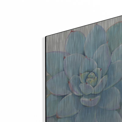 Art mural en métal «Pastel Succulent I» par Tim O'Toole
