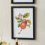 IMPRIMES AUTOMATIQUES DE FRUITS, ENSEMBLE DE 4