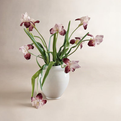 Lazaro Iris Floral Stems
