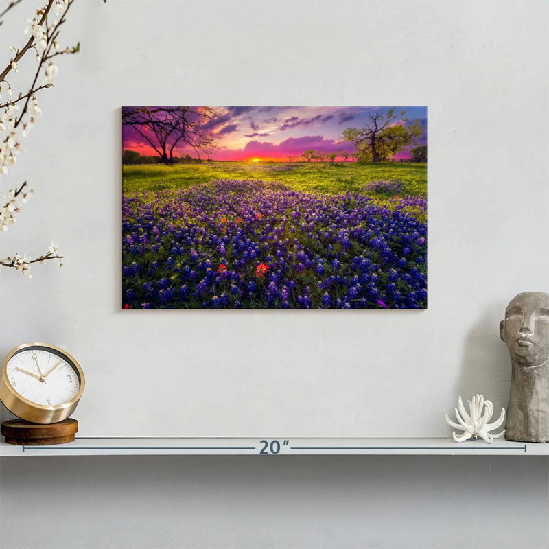 Champ de lavande Alvord Pastel Horizon, H 8 po x l 12 po