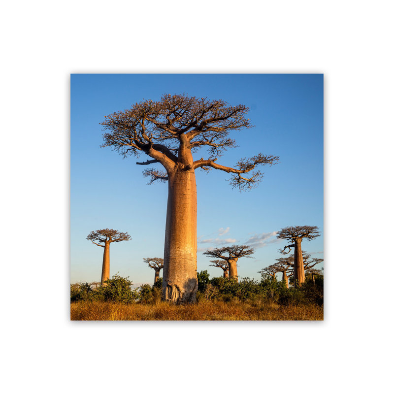 Giants by Karsten Wrobel - Print on Canvas, 84cm H x 60cm W x 1cm D, Unframed