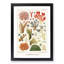 Great Barrier Reef Corals VII by W. Saville-Kent - Picture Frame Painting Print-55575317-55575321