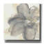 «Floral Gray I» par Chris Paschke, estampe numérique sur toile-1127948508