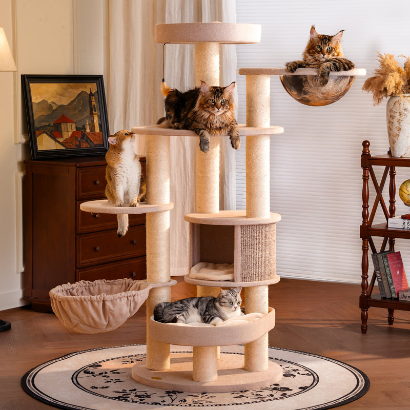 Très grand arbre à chat multi-niveaux pour chats d'intérieur et MaineCoon