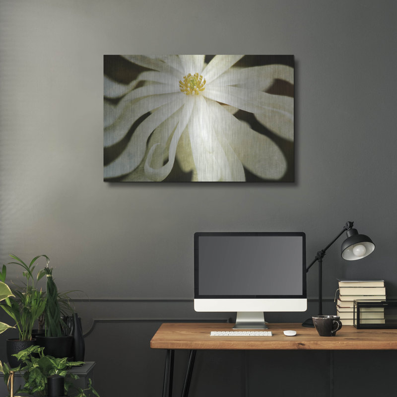 " White Flower " by Dennis Frates, 24" H x 36" W
