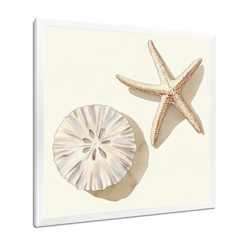 Ensemble de dollars des sables blancs et bruns et d'étoiles de mer - Tableau encadré, H 30 po x l 30 po, White Picture Framed