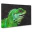 Iguana Lizard - Wrapped Canvas-61853984