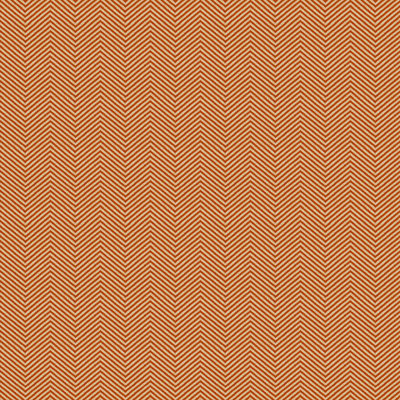 Indoor/Outdoor Fabric