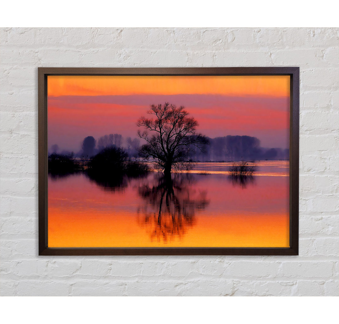 Orange Morning Reflections - Einzelner Bilderrahmen Kunstdrucke auf Leinwand