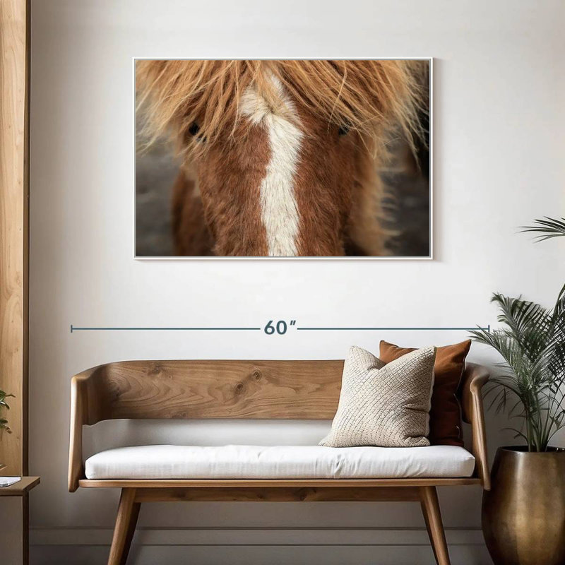 Gros plan d'un cheval Islandais, Cadre flottant blanc, 43 po x 29 po