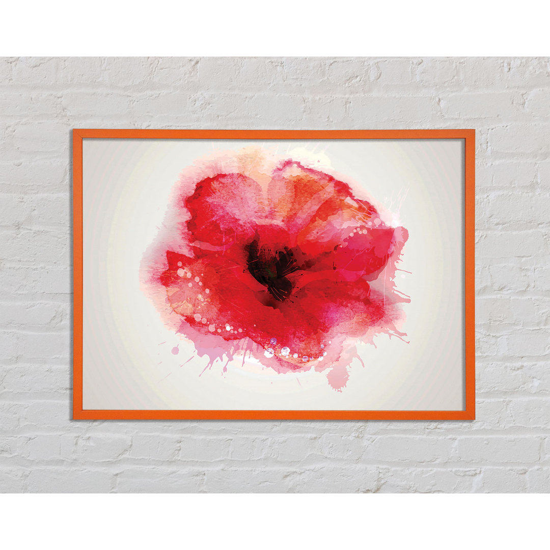 Carrolle Delicate Poppy - Einzelner Bilderrahmen Kunstdrucke