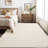 Machine Washable Area Rug with Non Slip TPR Backing, Minimalist Plain Carpet for Living Room Modern Solid Color Dining Room Throw Carpet-1639613979