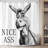 Funny Shower Curtain With Hooks