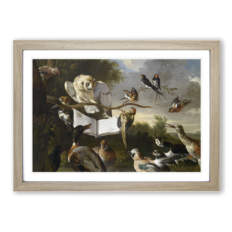 Owl Surrounded by Birds by Melchior D'hondecoeter - Picture Frame Painting, Oak Framed, 27cm H x 36cm W x 2cm D