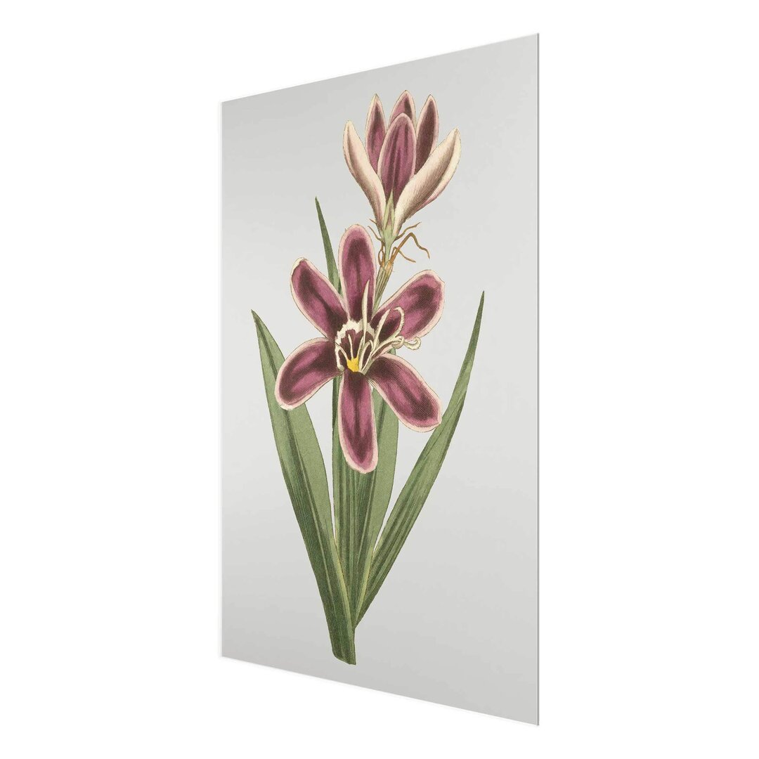 Glasbild Floral II