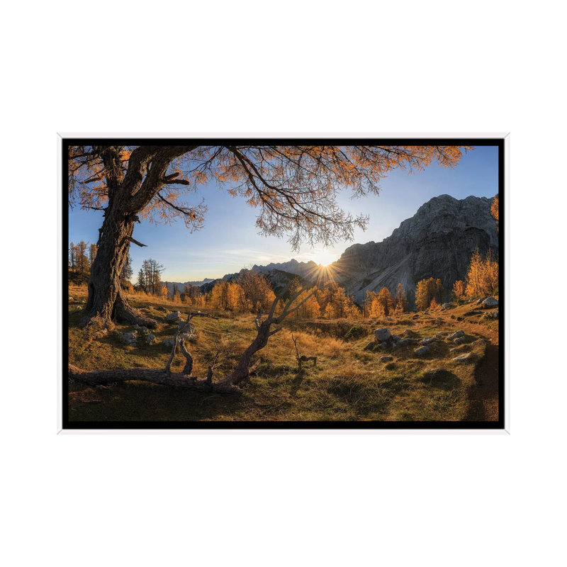 Autumn Paradise by Ales Krivec - Print on Canvas